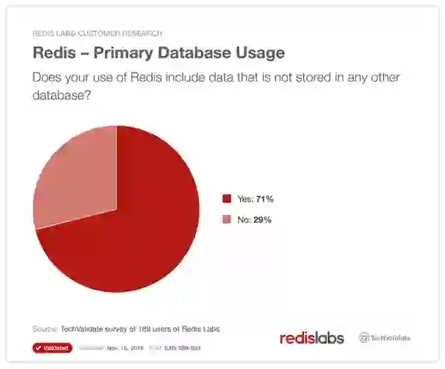 Redis Primary Datastore Usage
